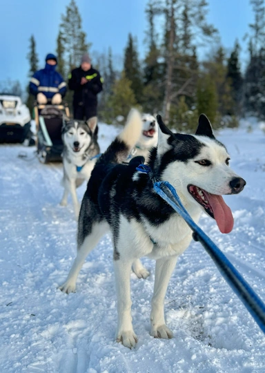Едем в&nbsp;Териберку: гайд от&nbsp;редакторов ЩЕЙ Олеси и&nbsp;Анжелики, чтобы отдохнуть на&nbsp;100%