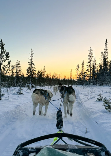 Едем в&nbsp;Териберку: гайд от&nbsp;редакторов ЩЕЙ Олеси и&nbsp;Анжелики, чтобы отдохнуть на&nbsp;100%