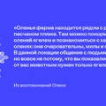 Едем в&nbsp;Териберку: гайд от&nbsp;редакторов ЩЕЙ Олеси и&nbsp;Анжелики, чтобы отдохнуть на&nbsp;100%