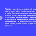 Едем в&nbsp;Териберку: гайд от&nbsp;редакторов ЩЕЙ Олеси и&nbsp;Анжелики, чтобы отдохнуть на&nbsp;100%