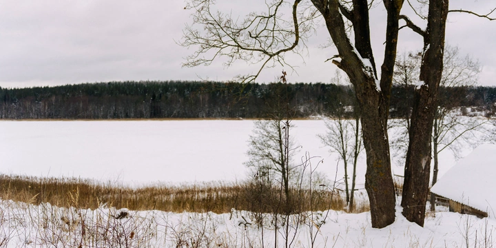 А сбитень кто будет пить, Пушкин? Как мы ездили на&nbsp;производство в&nbsp;деревню под&nbsp;Псковом