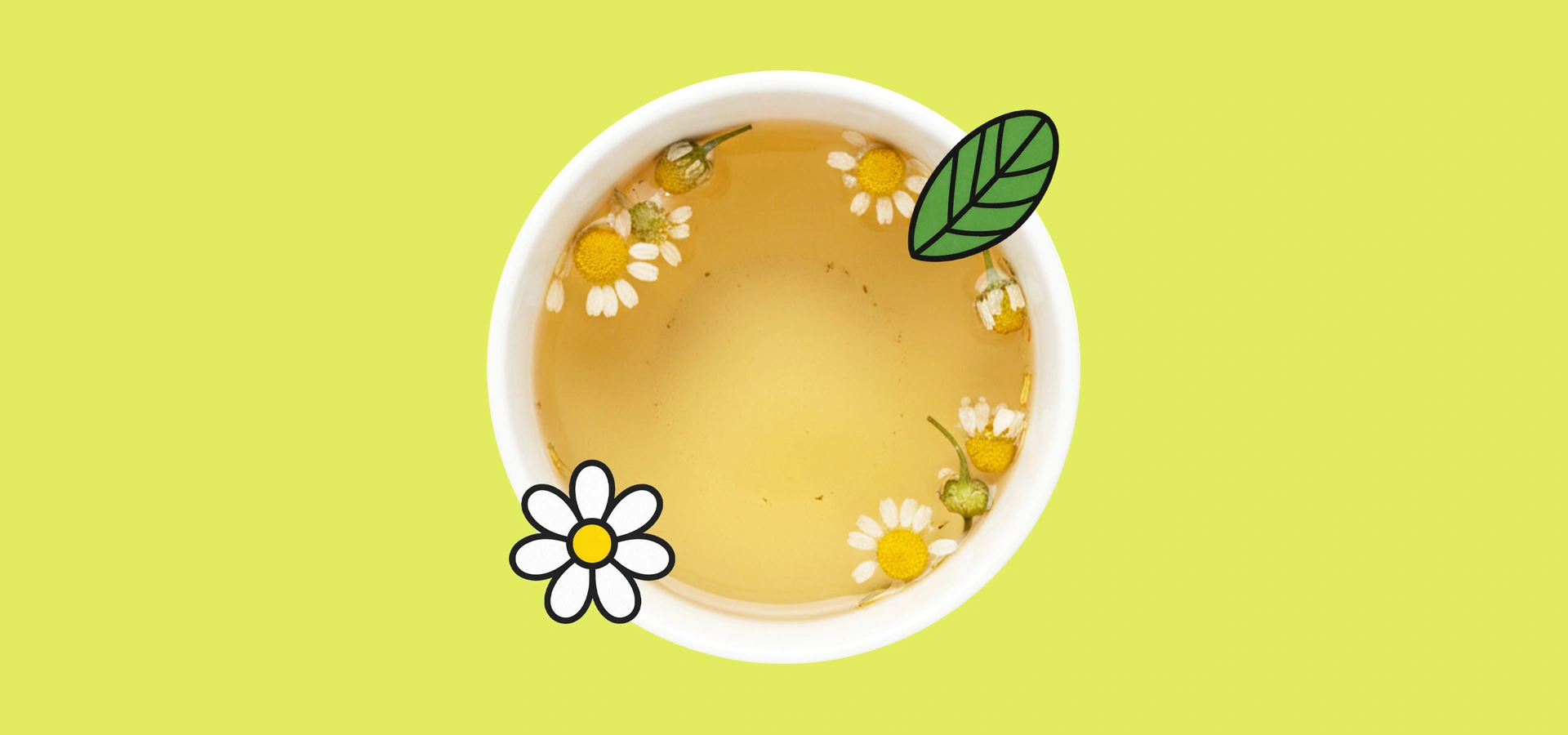 Правда ли, что ромашковый чай очень полезный, поможет уснуть и&nbsp;успокоиться