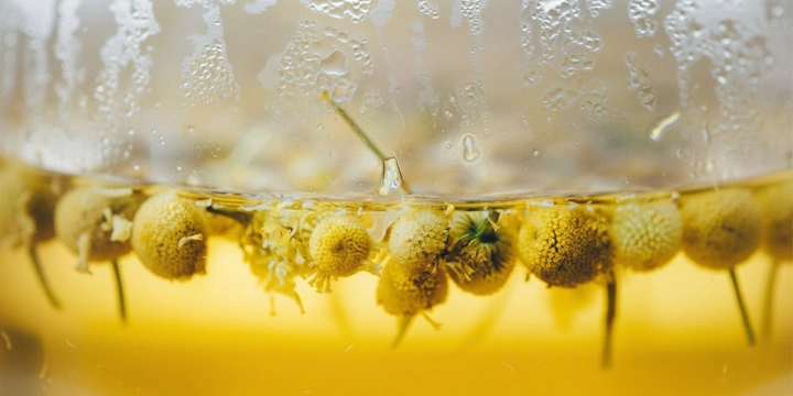 Правда ли, что ромашковый чай очень полезный, поможет уснуть и&nbsp;успокоиться