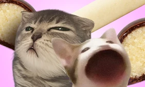 Марципан: что это такое и&nbsp;почему одни его любят, а другие ненавидят