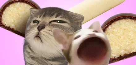 Марципан: что это такое и&nbsp;почему одни его любят, а другие ненавидят