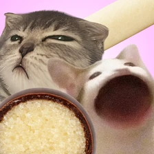 Марципан: что это такое и&nbsp;почему одни его любят, а другие ненавидят