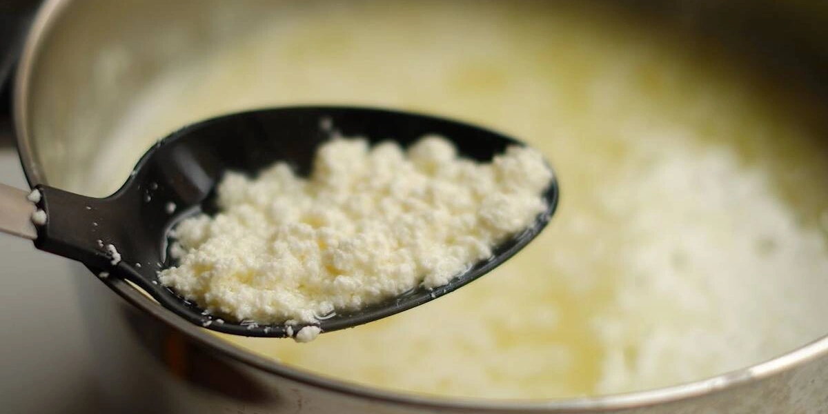 Эксперимент: как сделать творог дома