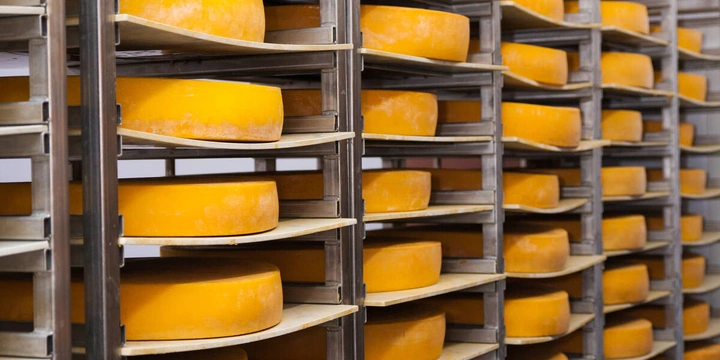 Как рождаются сыры: производство, составы и&nbsp;уникальные сорта