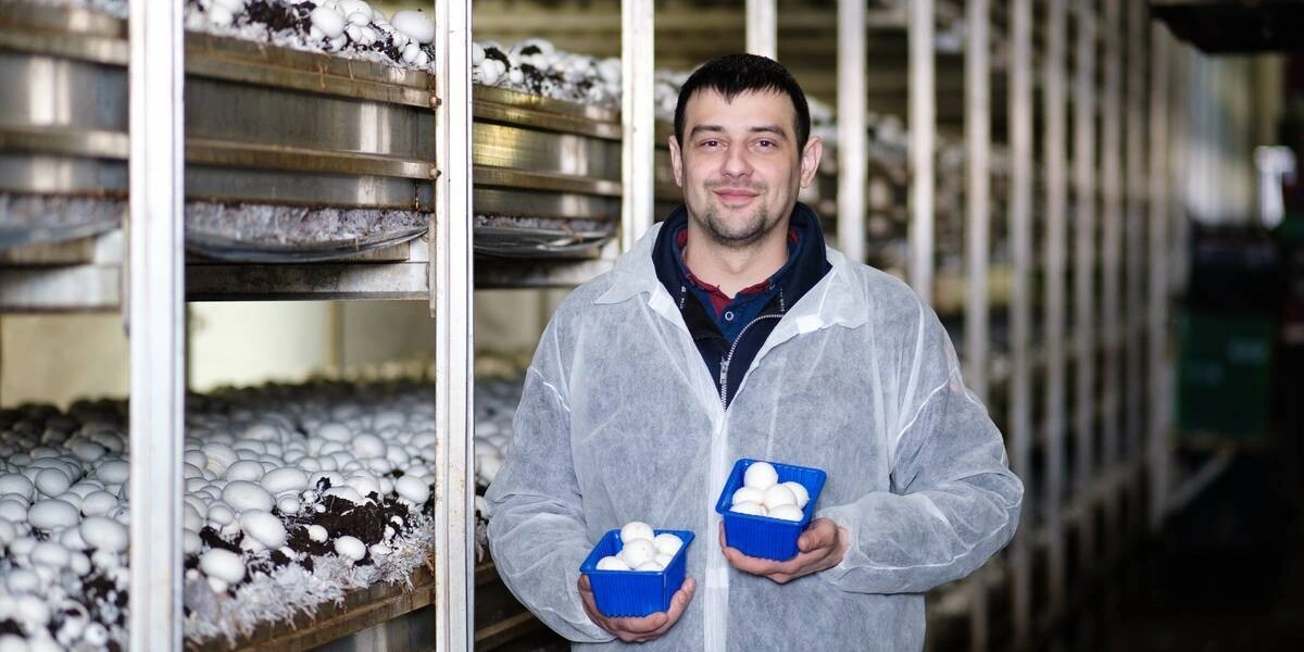 Проводник экскурсионной группы «ВкусВилл» в&nbsp;мир шампиньонов — Андрей Трищенков, технолог «Национальной грибной компании Кашира»