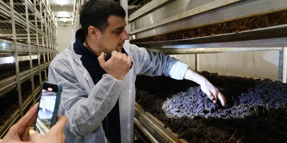 Стадия «Поливы». В&nbsp;камере проверяют, как в&nbsp;компосте прорастает мицелий, хорошо ли он «пьёт» воду