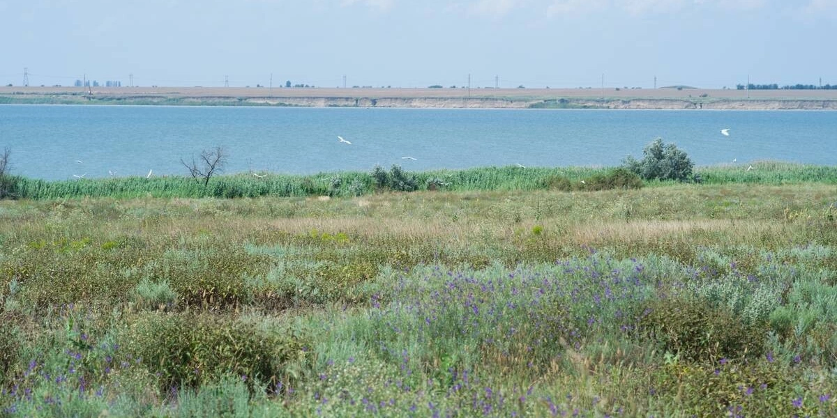 Как выращивают оранжевые, жёлтые, красные арбузы