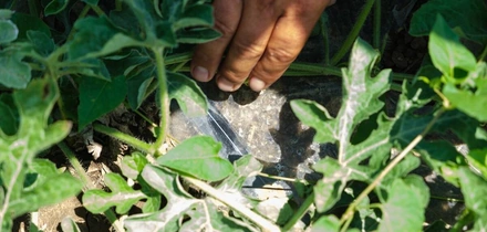 Система капельного автополива