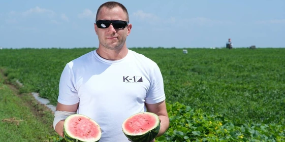 Как выращивают оранжевые, жёлтые, красные арбузы