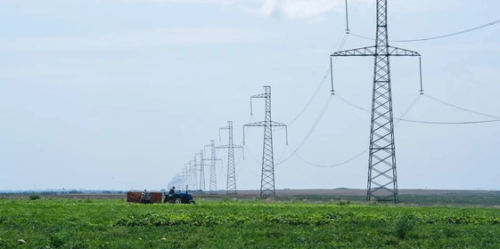 Как выращивают оранжевые, жёлтые, красные арбузы