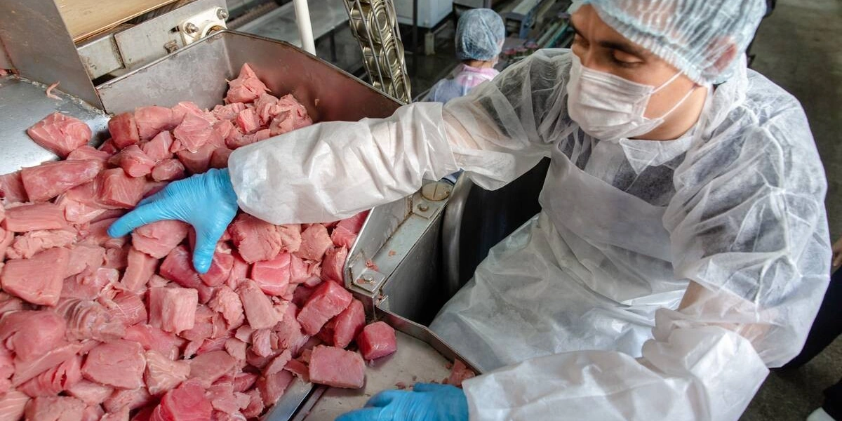  9 лет со вкусом: истории поставщиков ВкусВилла