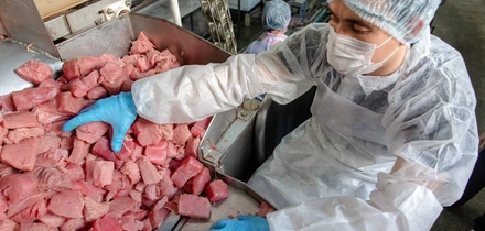  9 лет со вкусом: истории поставщиков ВкусВилла