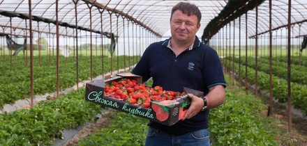  9 лет со вкусом: истории поставщиков ВкусВилла