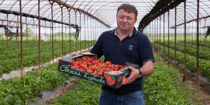  9 лет со вкусом: истории поставщиков ВкусВилла