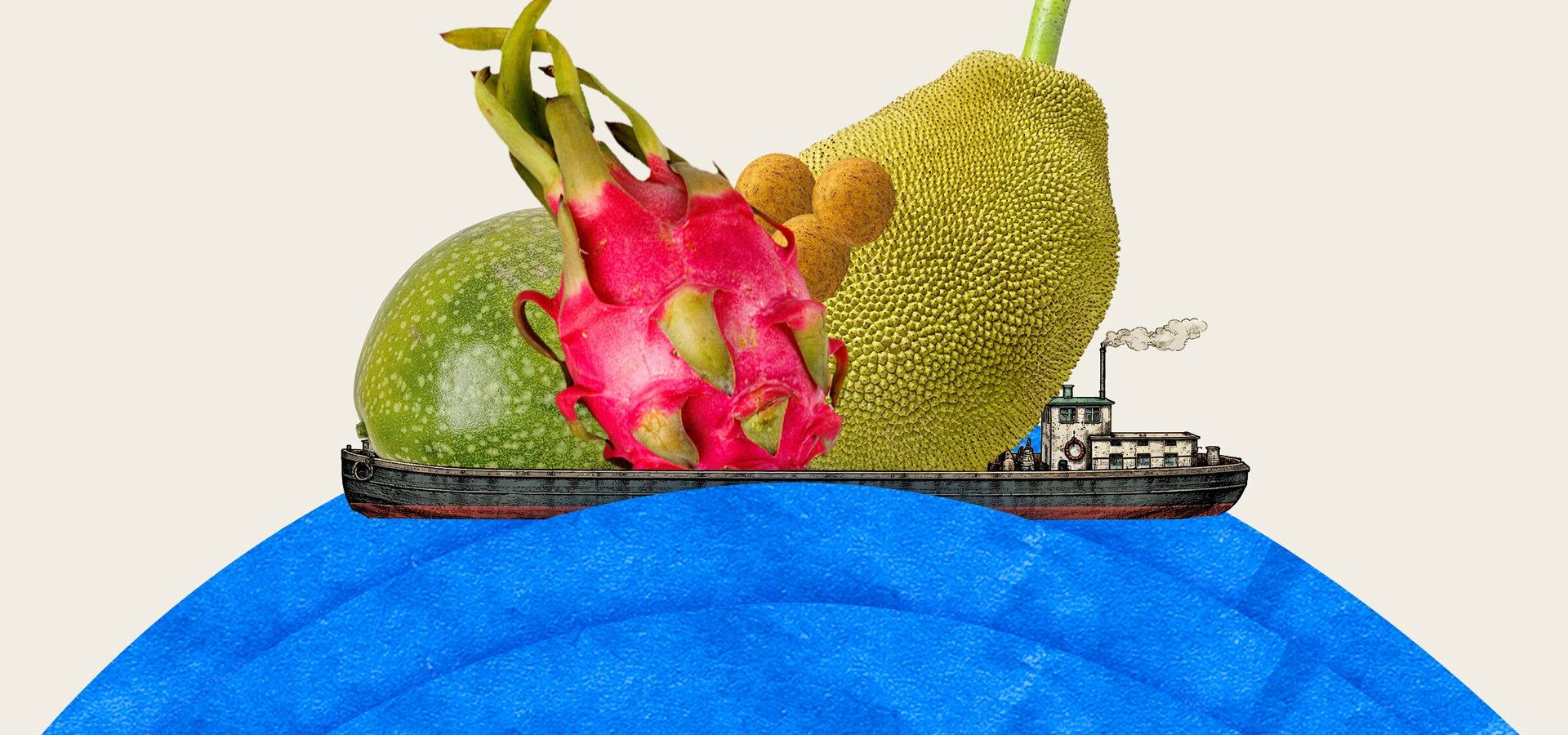 Вырастить ананас и&nbsp;питахайю дома можно. Но зачем?