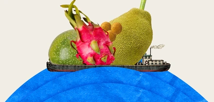 Вырастить ананас и&nbsp;питахайю дома можно. Но зачем?