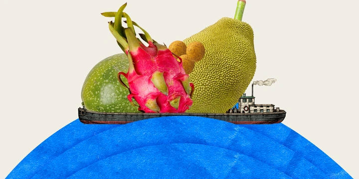 Вырастить ананас и&nbsp;питахайю дома можно. Но зачем?