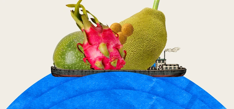 Вырастить ананас и&nbsp;питахайю дома можно. Но зачем?