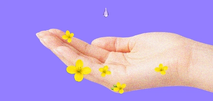 Может ли чистотел очистить тело