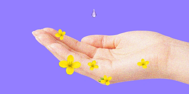 Может ли чистотел очистить тело