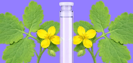 Может ли чистотел очистить тело