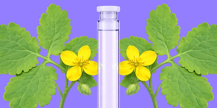 Может ли чистотел очистить тело