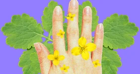 Может ли чистотел очистить тело