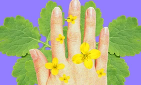 Может ли чистотел очистить тело