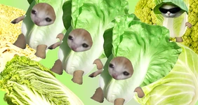 Тренд на&nbsp;капусту в&nbsp;2026-м: почему Pinterest считает её главным продуктом года