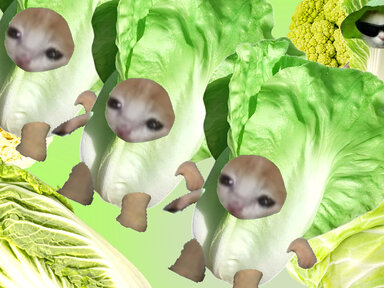 Тренд на капусту в 2026-м: почему Pinterest считает её главным продуктом года