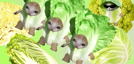 Тренд на&nbsp;капусту в&nbsp;2026-м: почему Pinterest считает её главным продуктом года