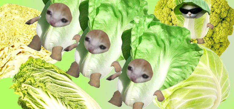 Тренд на&nbsp;капусту в&nbsp;2026-м: почему Pinterest считает её главным продуктом года