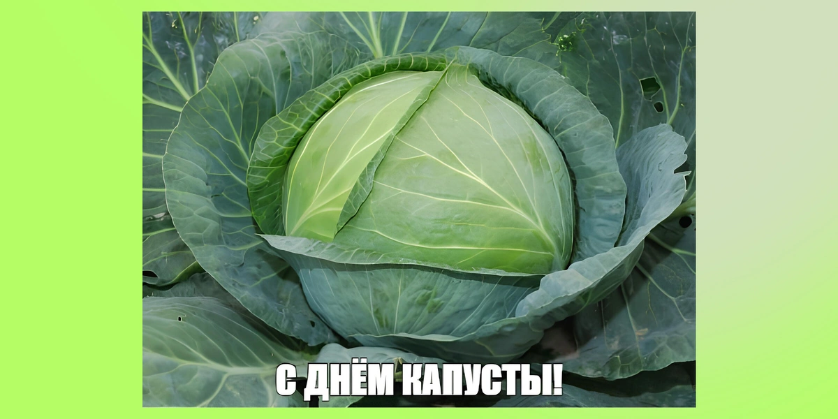 Тренд на&nbsp;капусту в&nbsp;2026-м: почему Pinterest считает её главным продуктом года