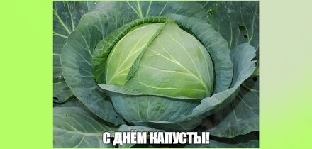 Тренд на&nbsp;капусту в&nbsp;2026-м: почему Pinterest считает её главным продуктом года