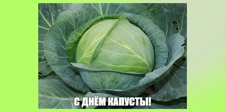 Тренд на&nbsp;капусту в&nbsp;2026-м: почему Pinterest считает её главным продуктом года