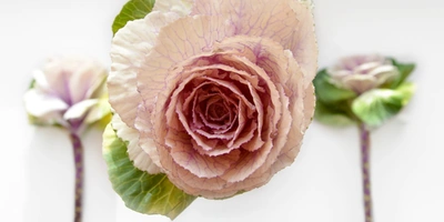 Фотографии Василисы Пуниной