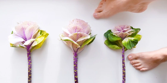 Фотографии Василисы Пуниной