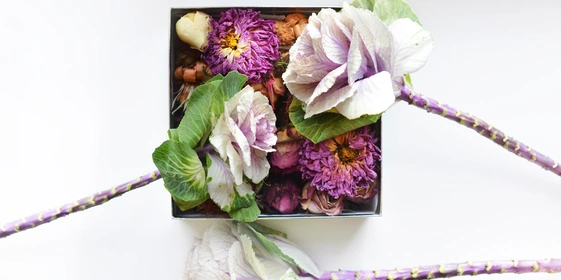 Фотографии Василисы Пуниной