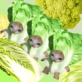 Тренд на&nbsp;капусту в&nbsp;2026-м: почему Pinterest считает её главным продуктом года