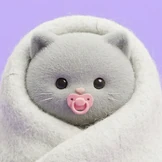 «Дорогой(ая), у нас будет котёнок»: как подготовиться к&nbsp;появлению питомца