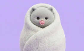 «Дорогой(ая), у нас будет котёнок»: как подготовиться к&nbsp;появлению питомца