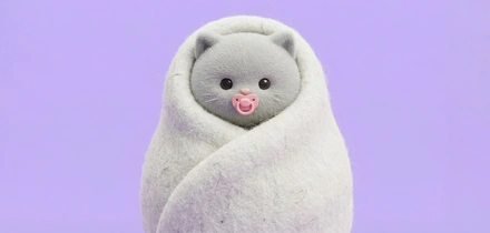 «Дорогой(ая), у нас будет котёнок»: как подготовиться к&nbsp;появлению питомца