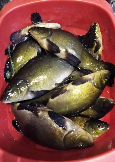 «Неженские» женские удовольствия: рыбалка, мотоциклы, ножи, футбол и&nbsp;Warhammer 40,000