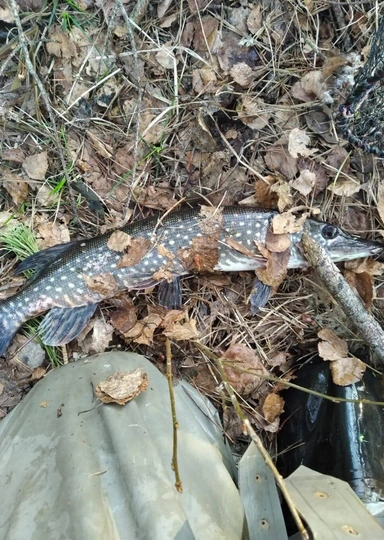 «Неженские» женские удовольствия: рыбалка, мотоциклы, ножи, футбол и&nbsp;Warhammer 40,000