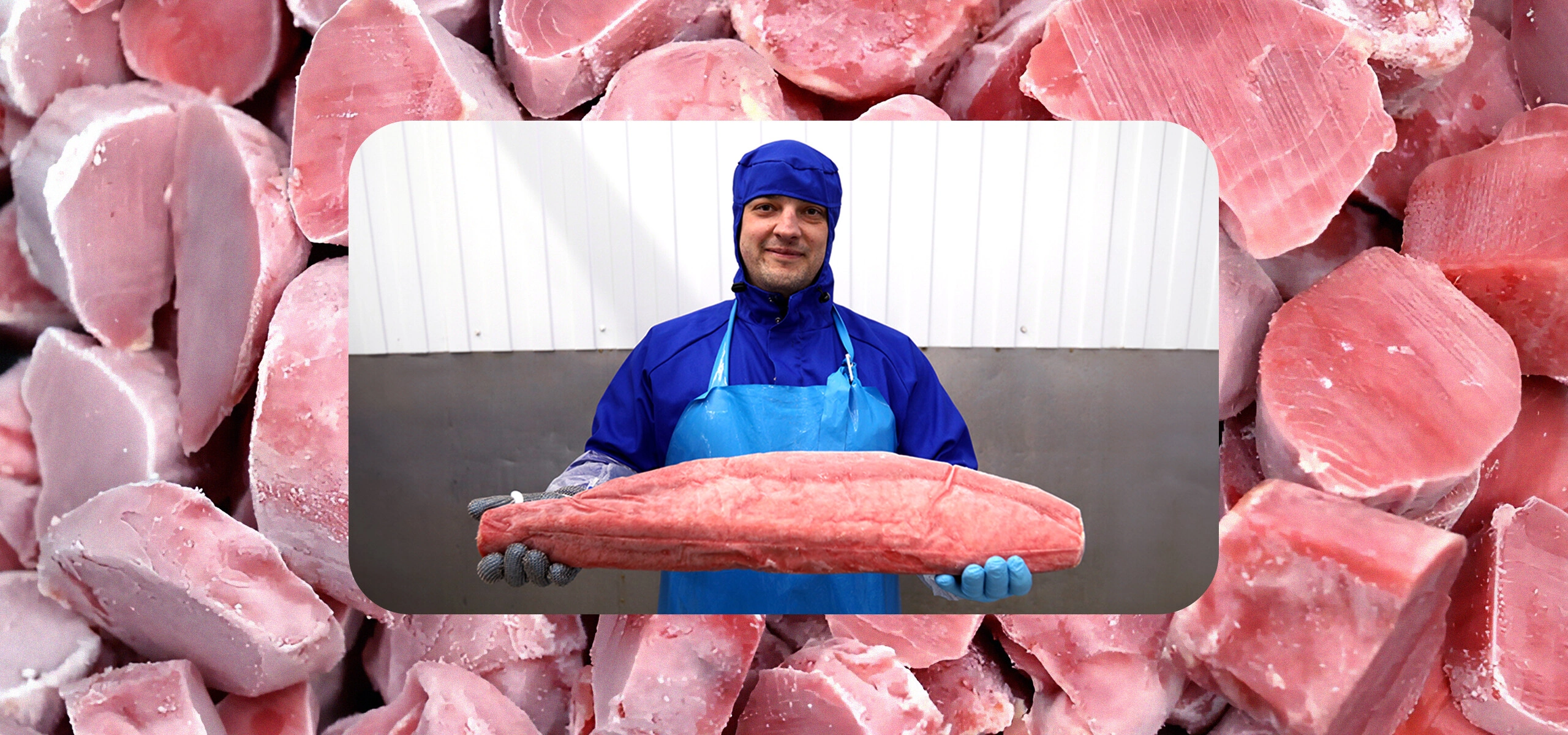 Как чистить креветки и&nbsp;при&nbsp;какой температуре хранить рыбу — рассказывает поставщик 