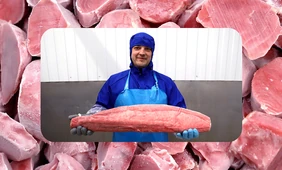 Как чистить креветки и&nbsp;при&nbsp;какой температуре хранить рыбу — рассказывает поставщик 